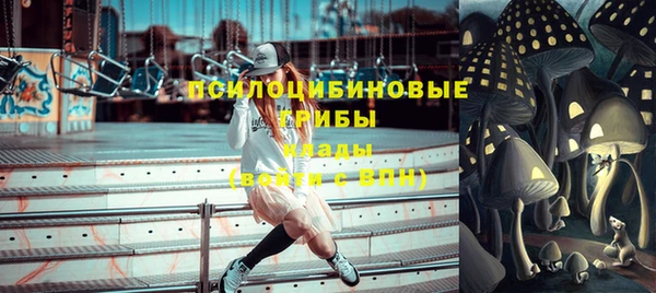 индика Надым